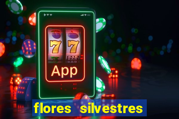 flores silvestres desbravadores desbravadores 25